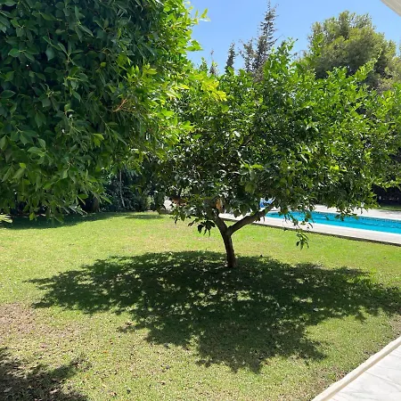Lola Marbella